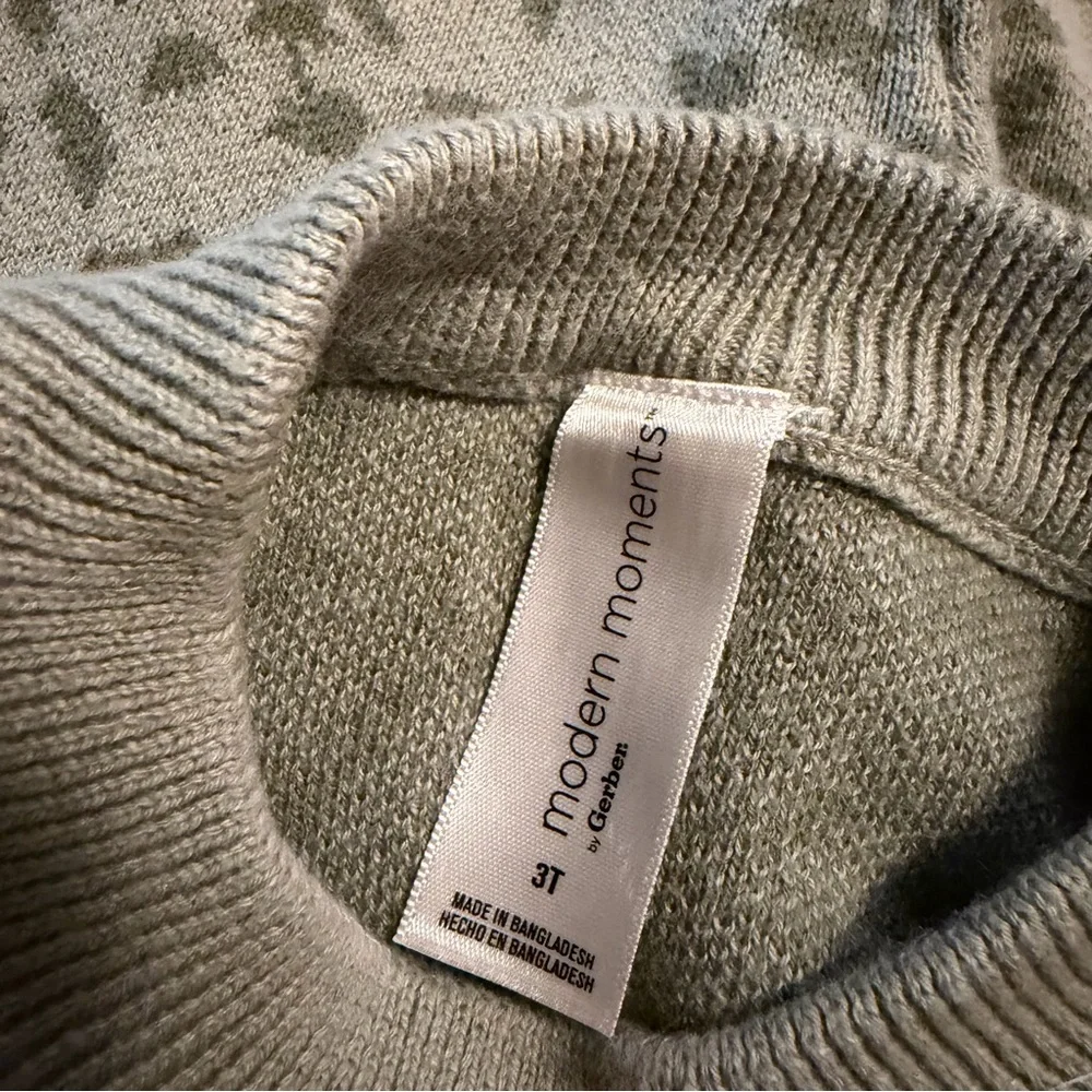 Modern‎ Moments by Gerber Toddler Girls Sage Green Floral Knit Sweater Set 3T